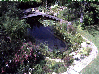 zum neuesten Bild bitte klicken